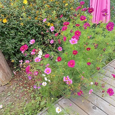 Homestay D'hote Au Calme Dans La Campagne Des Weppes