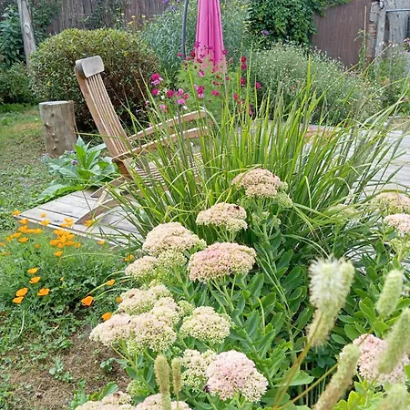 D'hote Au Calme Dans La Campagne Des Weppes Homestay *